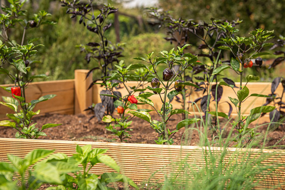 Verkauf Hochbeet Gartengestaltung Ziegler - Ihr Gärtner im Passauer Land