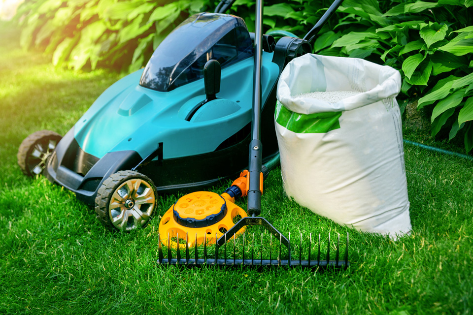 Rasenpflegemaßnahmen Gartengestaltung Ziegler Gärtner